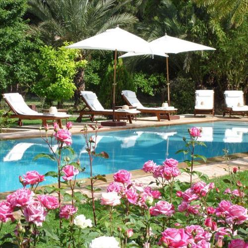 Dar Zemora Hotel Marraquexe Instalações foto